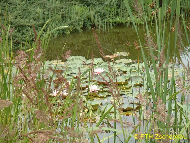 content/images/45e1930a736e856bdf637933123296c9/03128 (Kopie).jpg - 