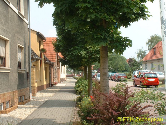 content/images/45e1930a736e856bdf637933123296c9/03713 (Kopie).jpg - 